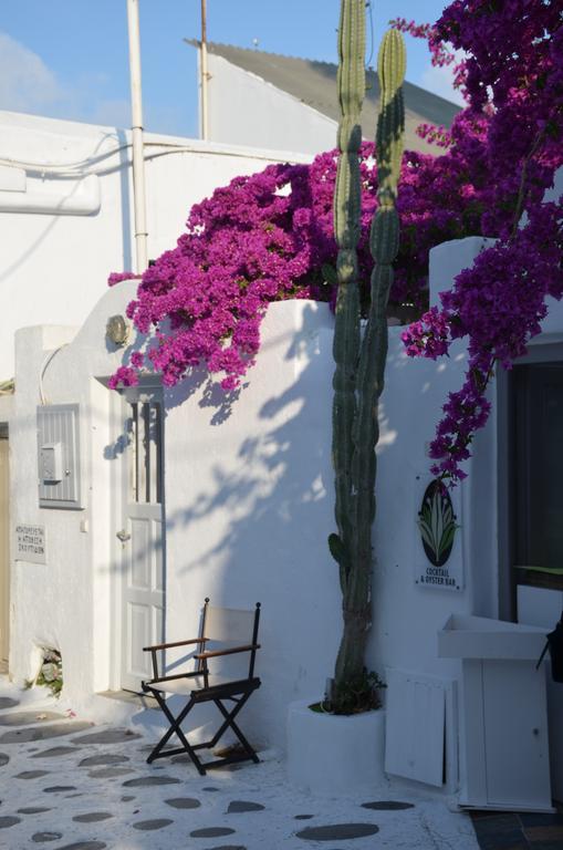 شقة White And Grey Chora Mykonos Town المظهر الخارجي الصورة